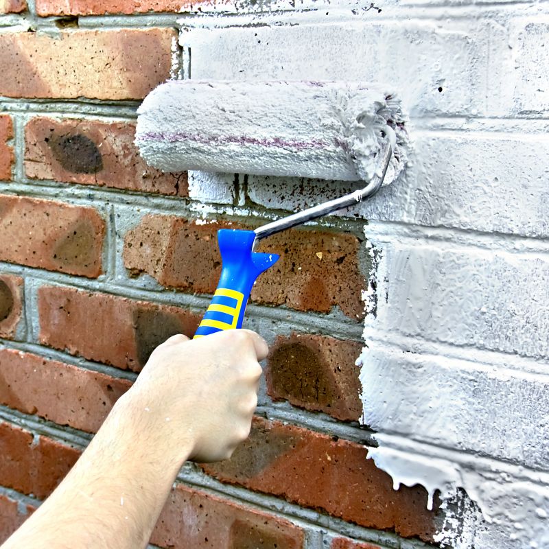 Chimney Painting in Fort Collins, CO