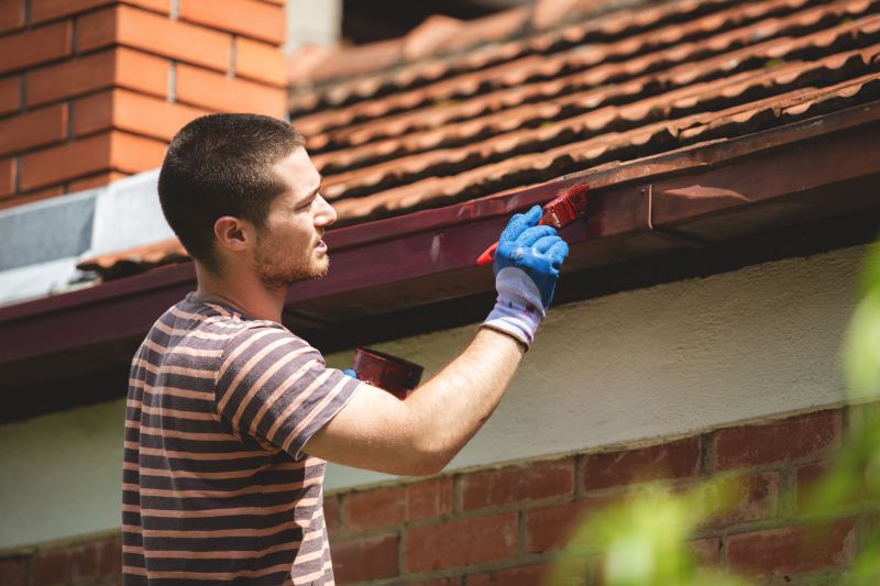 Chimney Painting in Boulder, CO